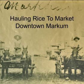 a-markum-rice